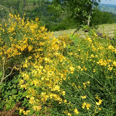 Daire Casa Delle Ginestre
