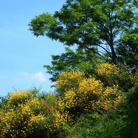 Daire Casa Delle Ginestre Cesena