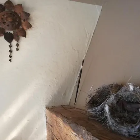 Casa Delle Ginestre Daire *