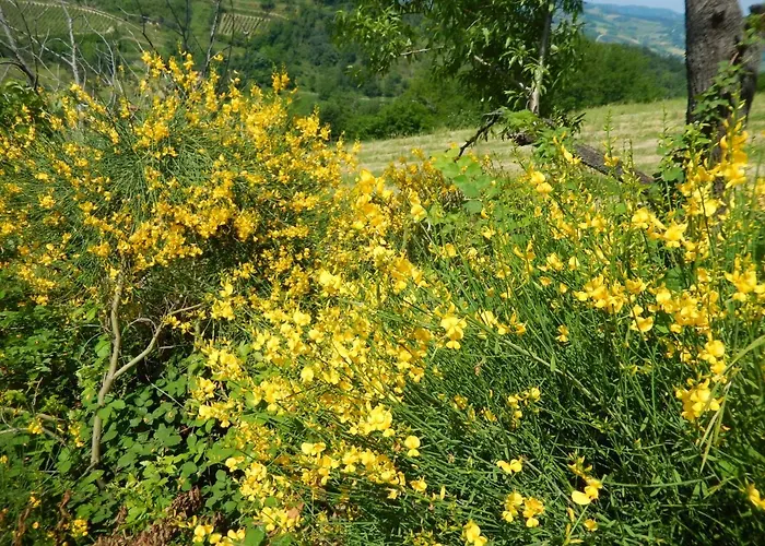 Apartman Casa Delle Ginestre