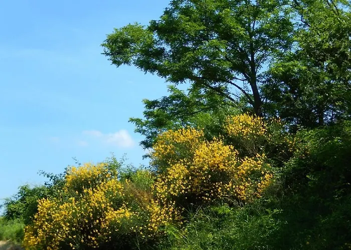 Apartman Casa Delle Ginestre Cesena