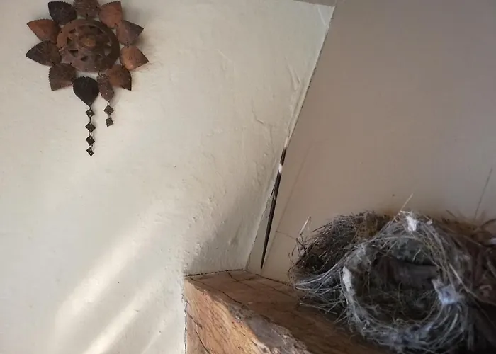 Casa Delle Ginestre דירה *